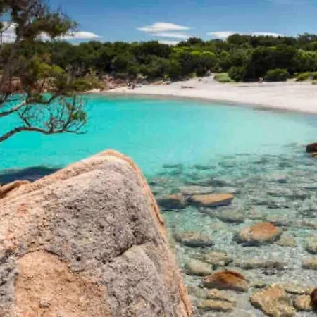 Blu Apartment: Vista Mare - Posizione Strategica