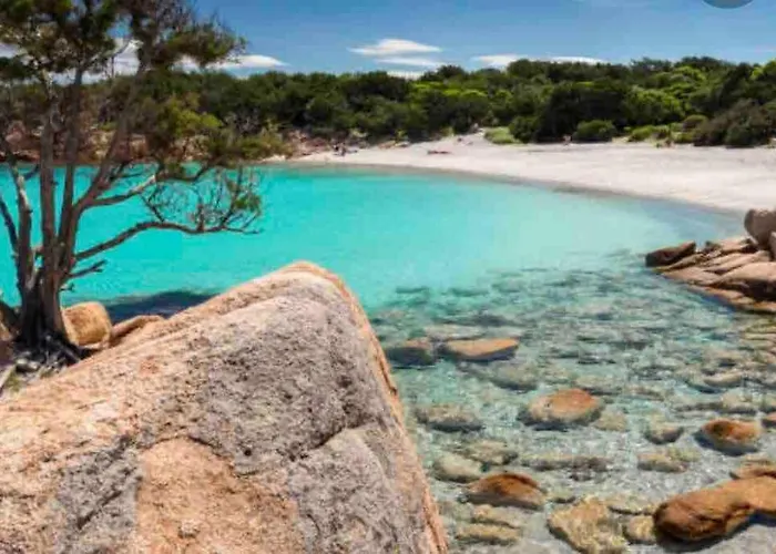 Blu Apartment: Vista Mare - Posizione Strategica